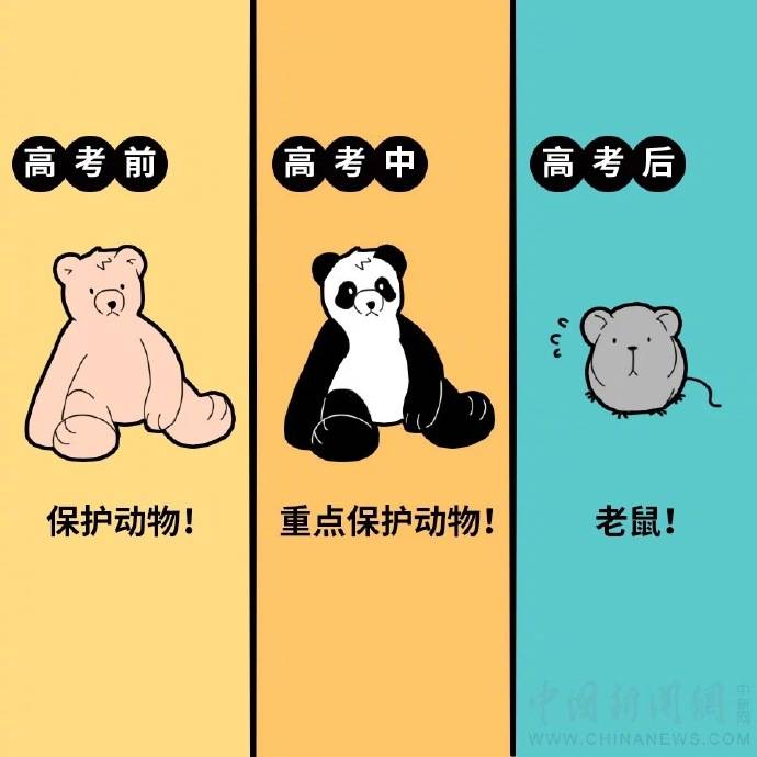 高考|人间真实！高考前后“家庭地位”图鉴