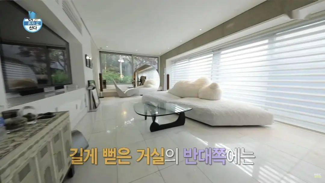 中韩|顶流男神58亿独居豪宅大曝光，中韩网友全傻眼：猫也有独卫？！