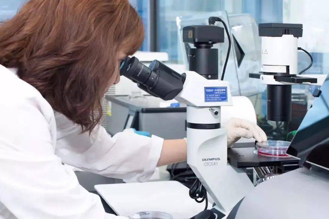 陈数|43岁的陈数演“女配”竟艳压女主佟丽娅,看了她的状态,我果断种草了这个东西......