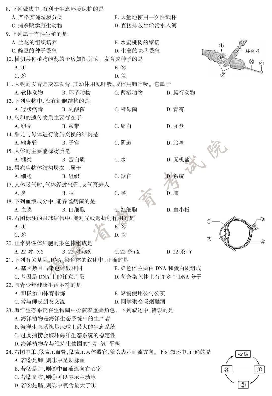 生物试卷(参考答案)2020年河南开封初中结业考试生物试题参考答案一