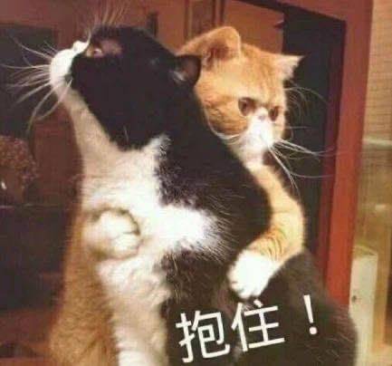 网友|图书馆闭馆日，却为这位84岁的老人破例开门