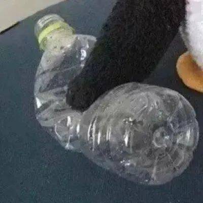 特别污情侣头像摸下面一人一半图片