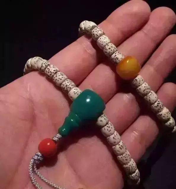 要点|菩提搭它，惊艳！