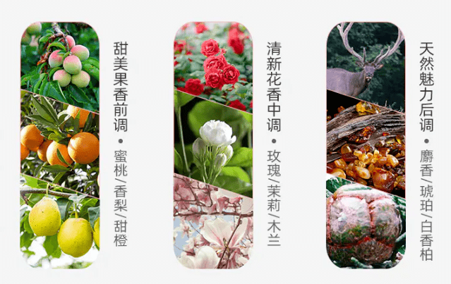 成分|日本超火，唤起发丝健康，绽放美丽光彩