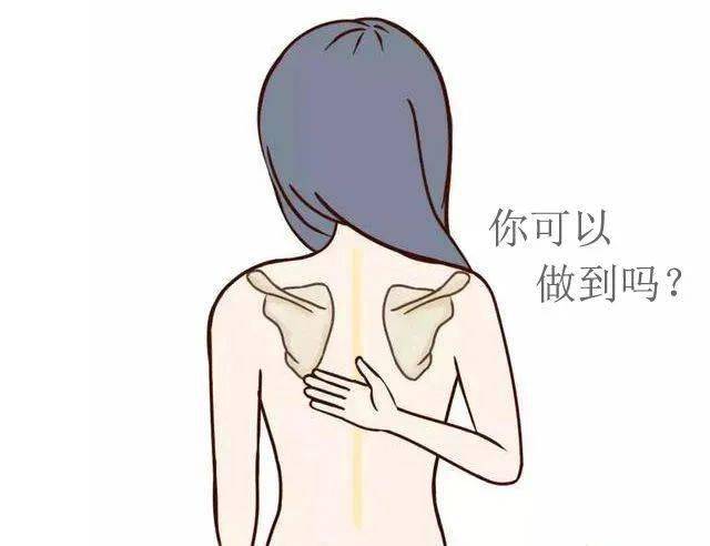 动作三: 向后背手,要够到脊柱正中的位置,如果能完成,说明肩关节旋后