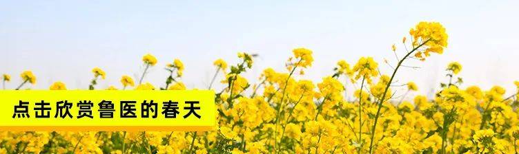 齐鲁|招生季 | 齐鲁医药学院“拍了拍”你招生简章了解一下