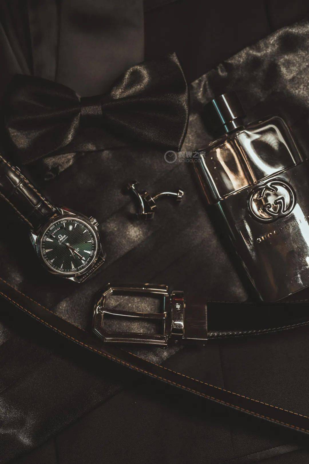 欧米茄|多彩夏日，有海马同行