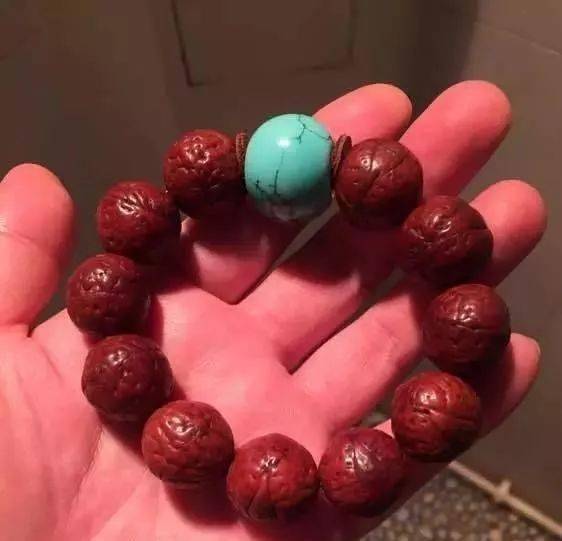 要点|菩提搭它，惊艳！