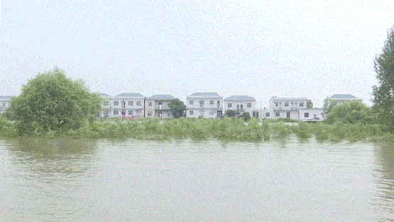 游子|汛情紧急！两封“家书”，近7000游子无畏逆行！为这样的长江“后浪”点赞→