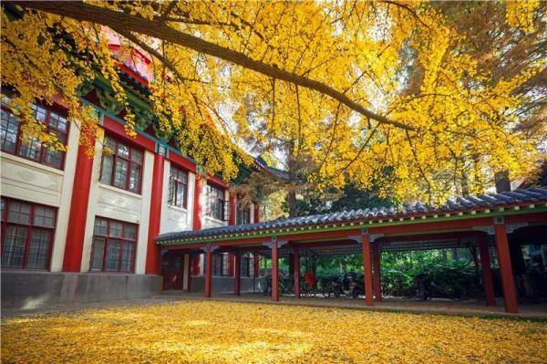 江苏|江苏部分高校预估线来了！