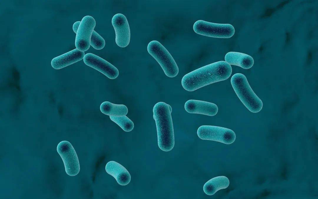 菌儿科临床应用循证指南》则推荐使用布拉迪酵母菌-酪酸梭菌二联活菌