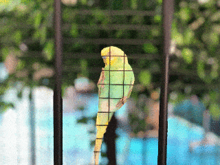 大象狮子惊现万家!50000门票免费送!世界珍稀动物博物