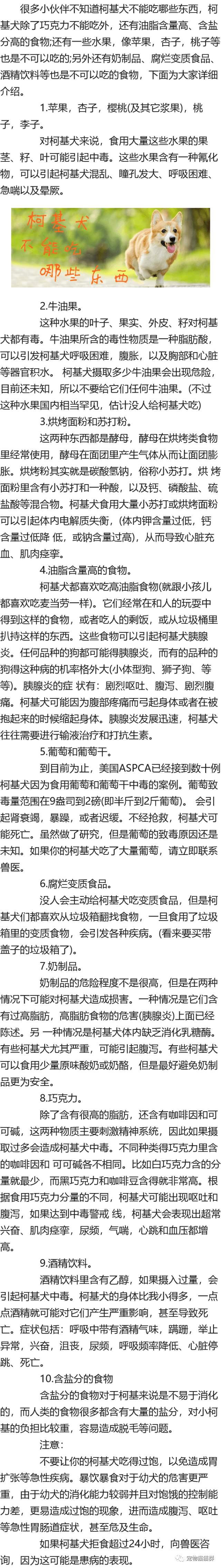柯基犬不能吃哪些东西