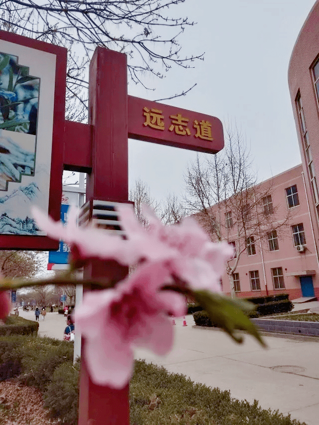 云游校园|带你逛逛美到cry的河北中医学院!