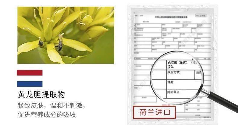 张天|张天爱比杨幂会“撩”?让小奶狗痴迷的她,到底有啥不一样?