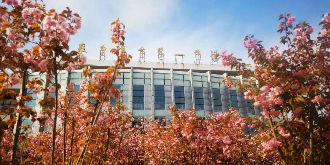 秦皇岛市实验中学