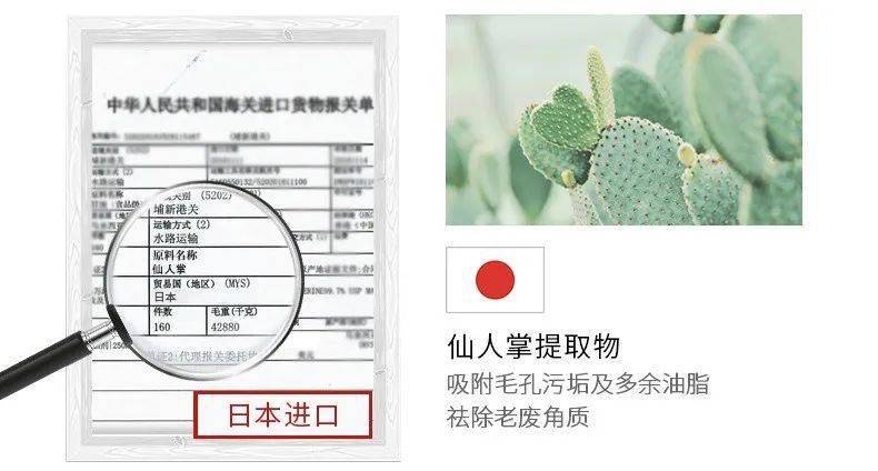 张天|张天爱比杨幂会“撩”?让小奶狗痴迷的她,到底有啥不一样?