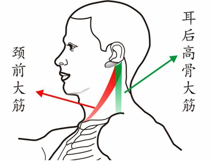 ba42ab3c5fda45d6835bbb1016c9bd8d.jpeg