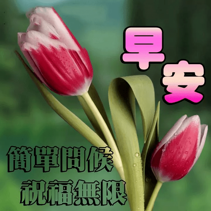 2020微信问候上午图片,2021最新微信问候图片 今天最好的早上好图片带问候语,2020微信早安图片祝福