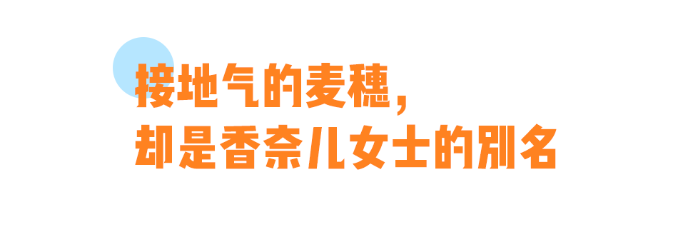 寓所|花16W买香奈儿值吗？值！！！
