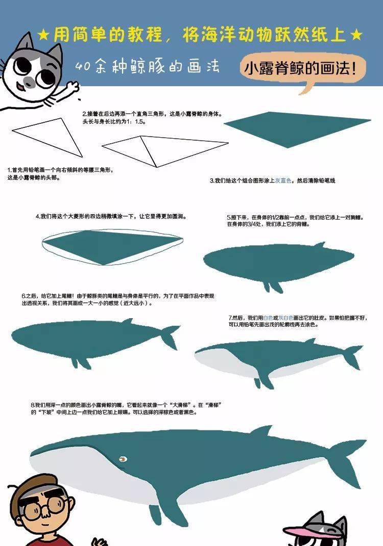 畅销升级版】国内首本原创漫画式鲸豚科普书更新啦，赠送鲸豚全家福大海报+贴纸_搜狐网