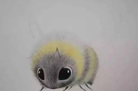 用彩铅来画可爱又简单的小蜜蜂丨彩铅