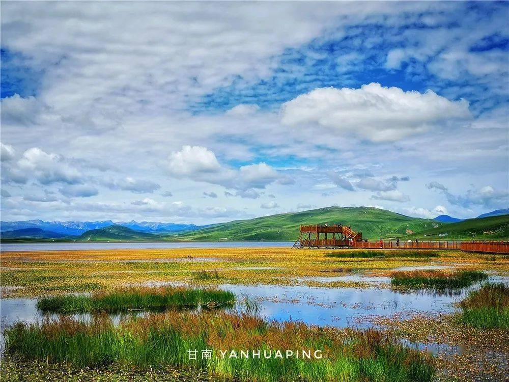 七月甘南尕海湖及沿途美照分享!