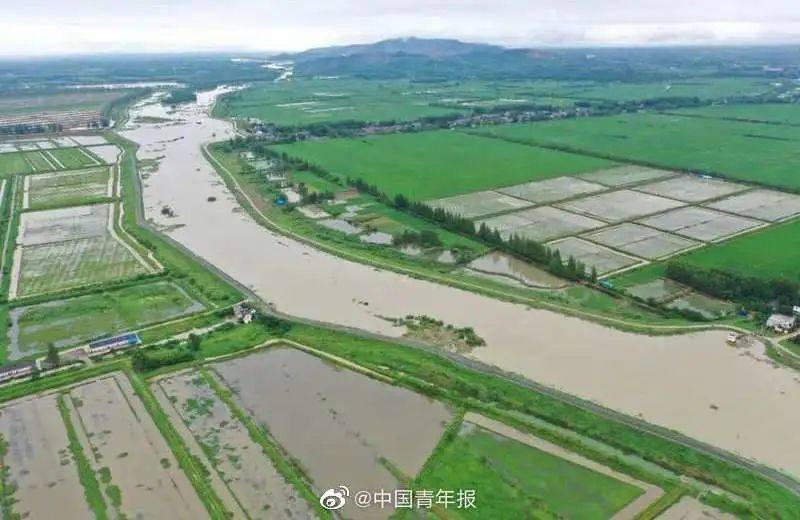 王家坝泄洪区人口_王家坝湿地公园(3)