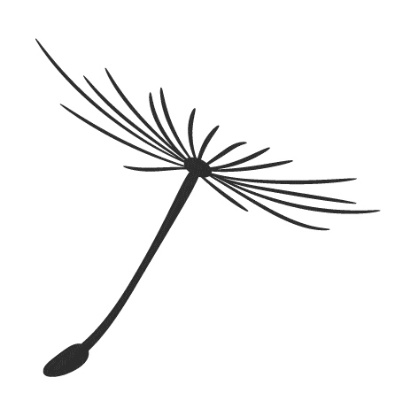 人间|别不信，绮绮子“人间鹦鹉妆”，一画年轻5岁！