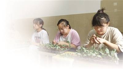 大赛|三城同台竞技 提高技艺水平