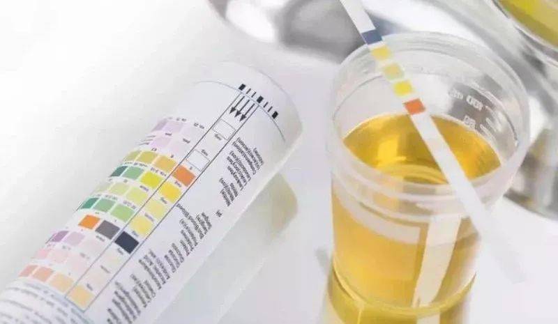 科普|医学检验也来科普:采血,尿检,让我们聊聊常见标本留取那些事