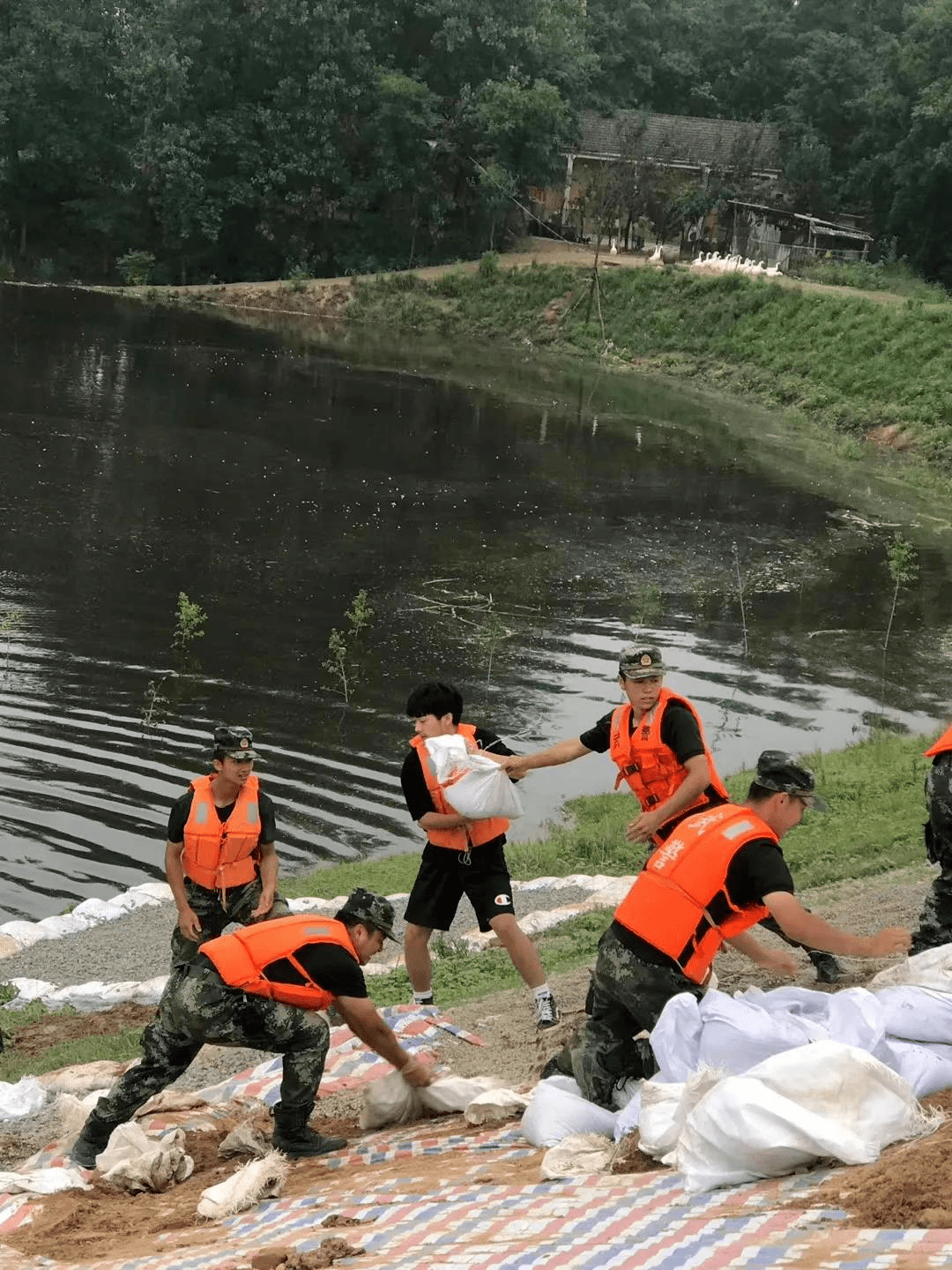 闻"汛"而动!郑州工程技术学院学生积极参与抗洪抢险