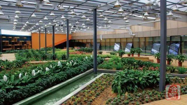 教育|河南师范大学在郑州的第一所小学长啥样？ 先睹为快！