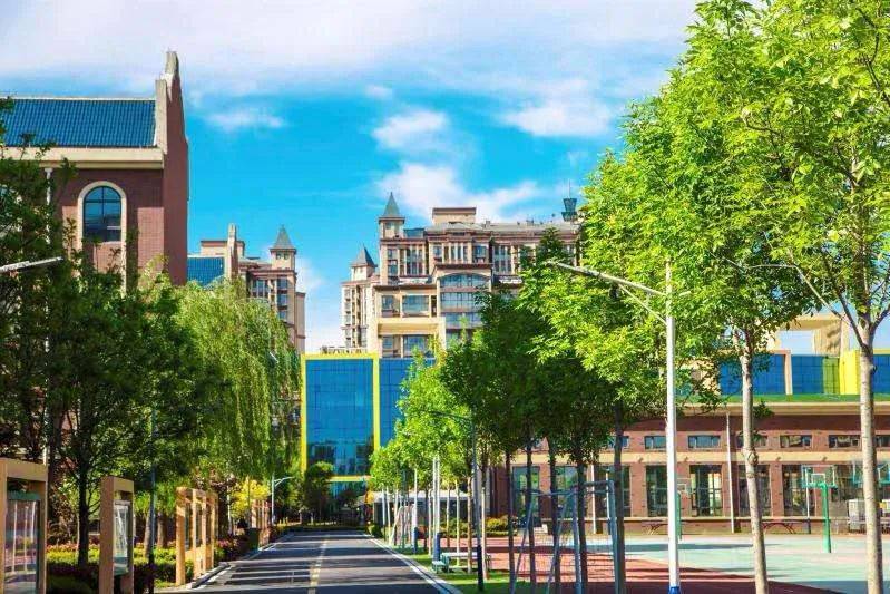 国际学校|重本进线率95.14%！临沂国际学校再创高考佳绩！好学校都是用实力说话的！