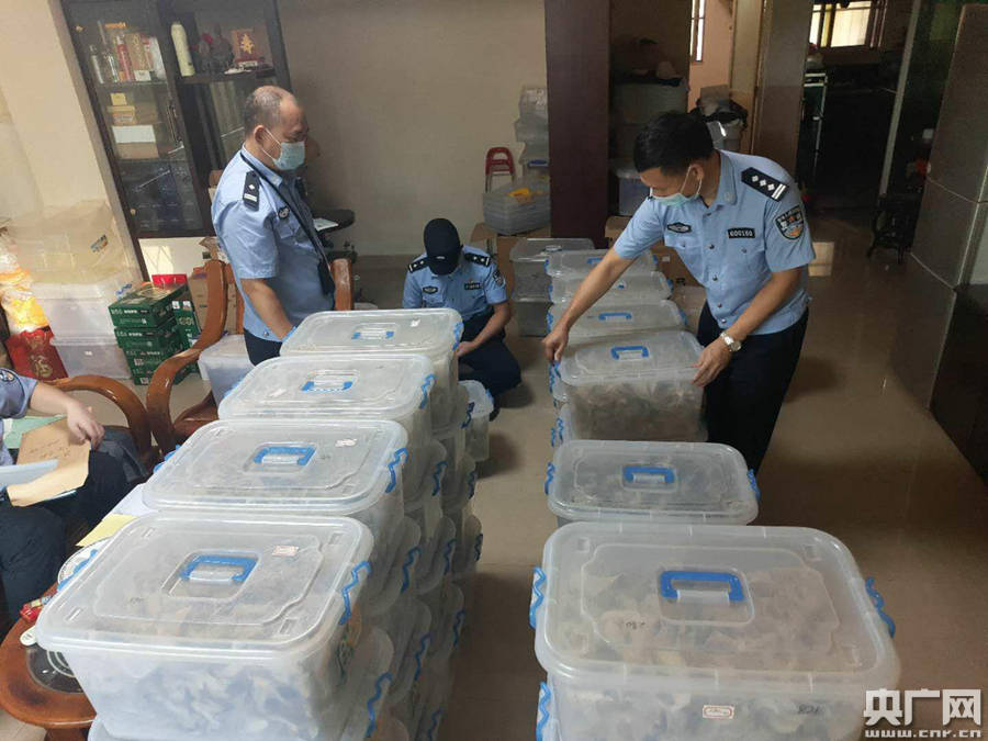 广东湛江海关破获逾10亿元家族式走私燕窝系列案