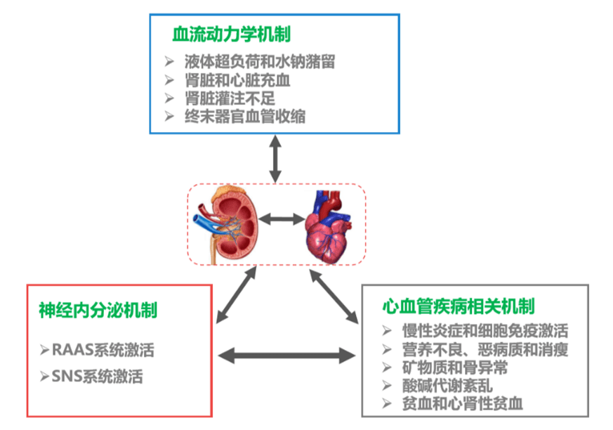 治疗|ARNI，心肾综合征治疗的新希望?