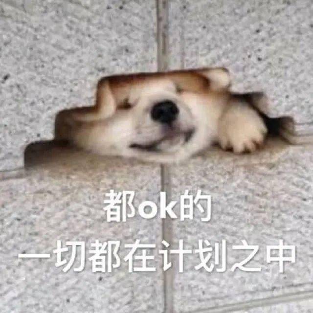 c57b048e50cb4e0db6f705d402cd48c8.jpeg