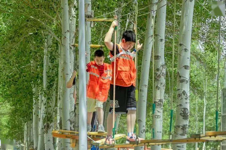 十大足球赌注软件|
“我是一个兵”军事夏令营等你来战!(图9) 十大足球赌注软件|
“我是一个兵”军事夏令营等你来战!(图9)
