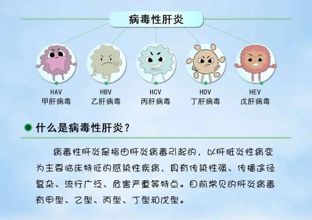 问题|中国现有乙肝病毒携带者约7000万！乙肝病毒到底能不能被治好？