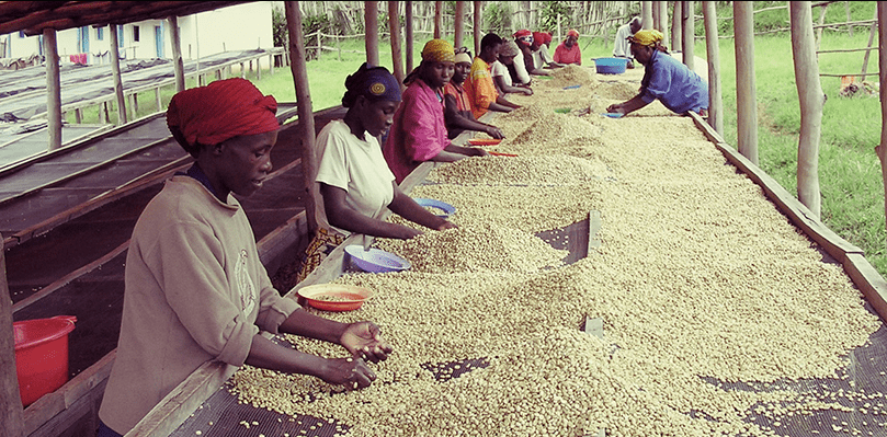 皮肤|想知道如何让肌肤常驻18岁吗？想知道明星三四十岁依然拥有靓丽肌肤吗？点进来我告诉你