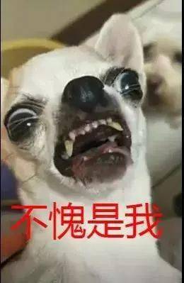 言归什么成语_成语故事简笔画(2)