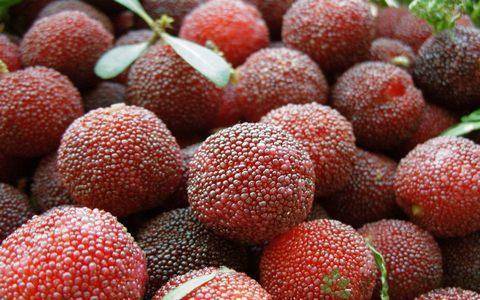 毒素|排毒素，清垃圾，色斑消失了，肌肤更白皙女性每天当零食吃几颗