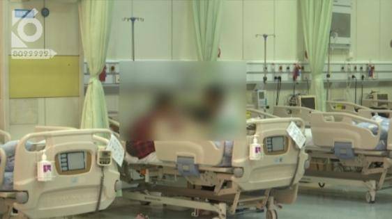 一家人|不敢相信！已有12人身亡！吃青头菌也中毒？