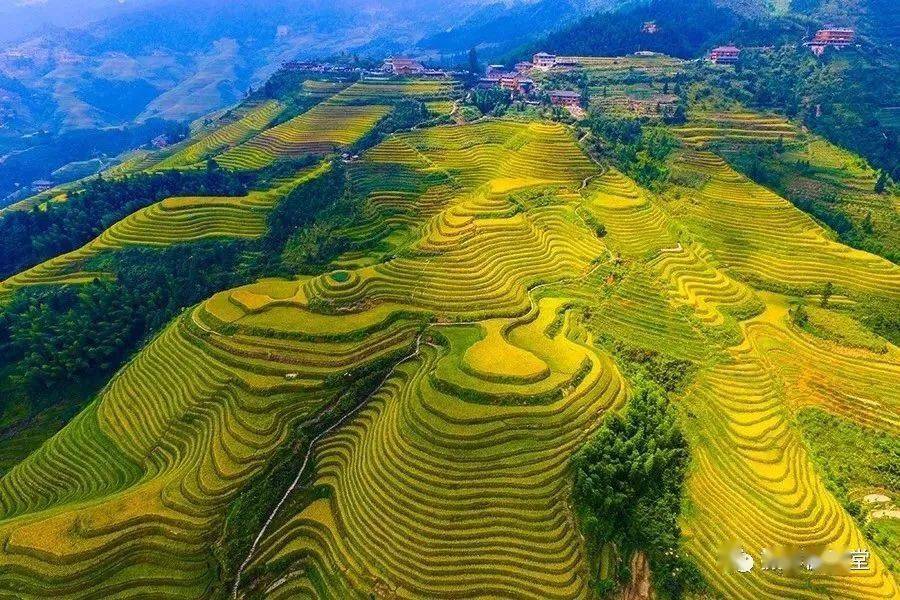 9月12日-19日【新线首发】广西龙脊梯田秋色,桂林山水