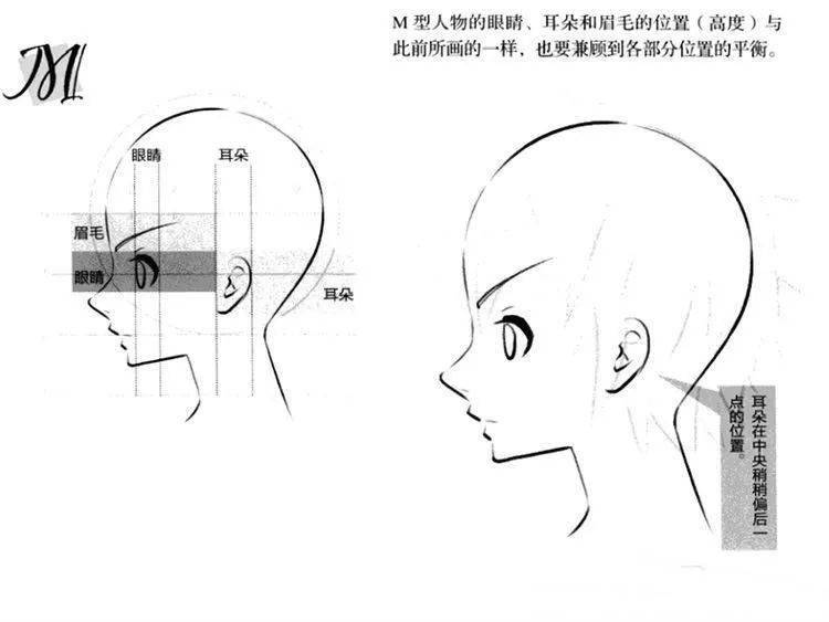 描绘正侧面时的头发 如下图,m型人物正侧面头发