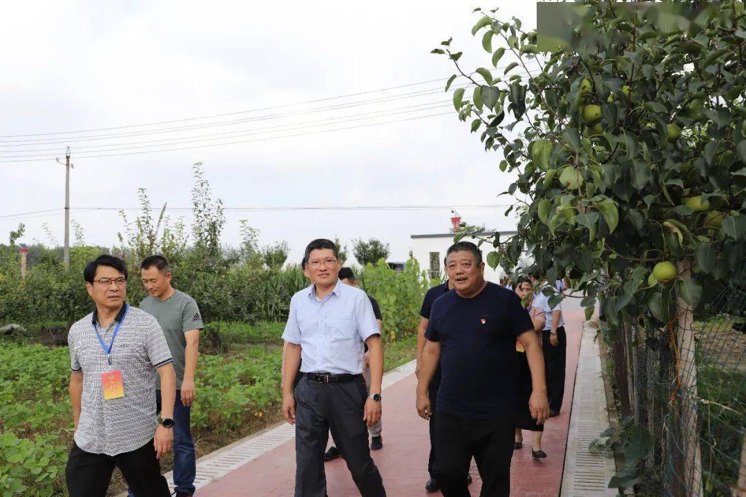 蔡集镇多少人口_蔡集镇中心小学图片(2)