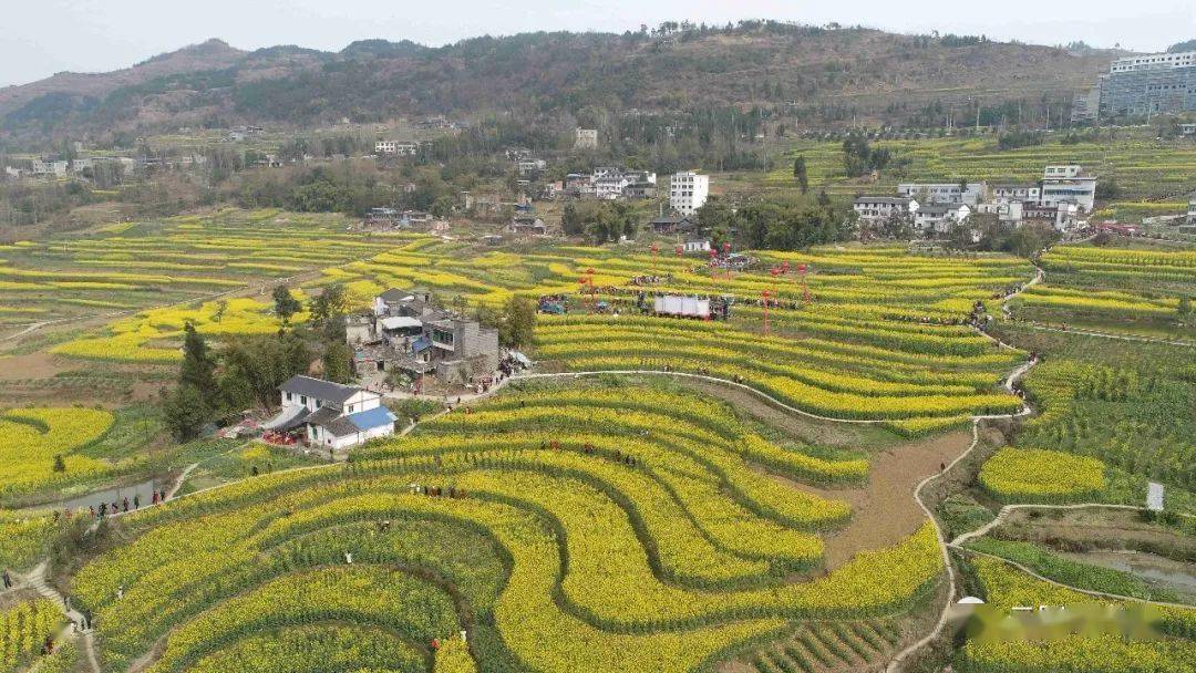 云阳13个村有望入选重庆市美丽宜居乡村有你的家乡吗