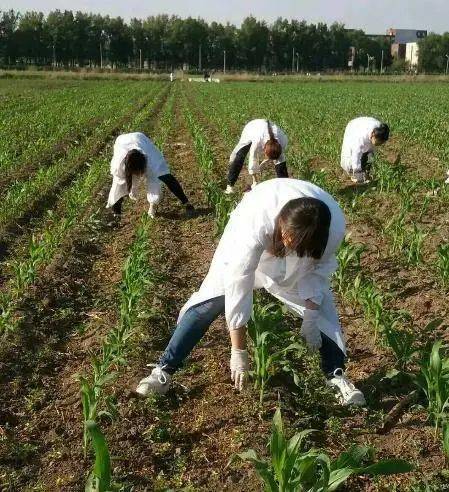 农学|农学，真的是劝退专业吗？