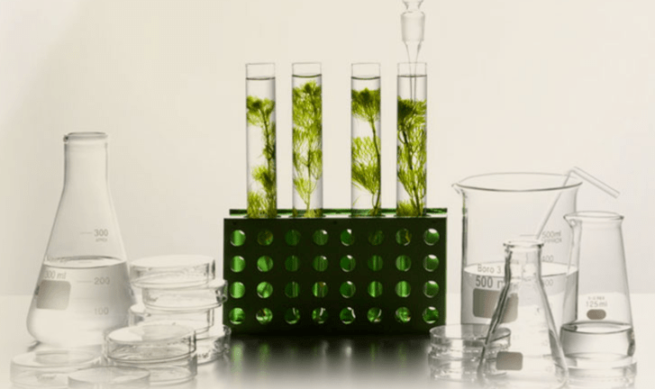 免税店|免税店太贵？代购水太深？这些便宜不捡可就亏大发了！