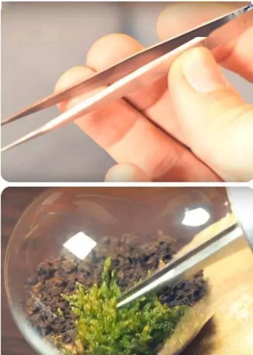 植物|让种植成为孩子探索自然的起点！【植物角】60种植物角新玩法